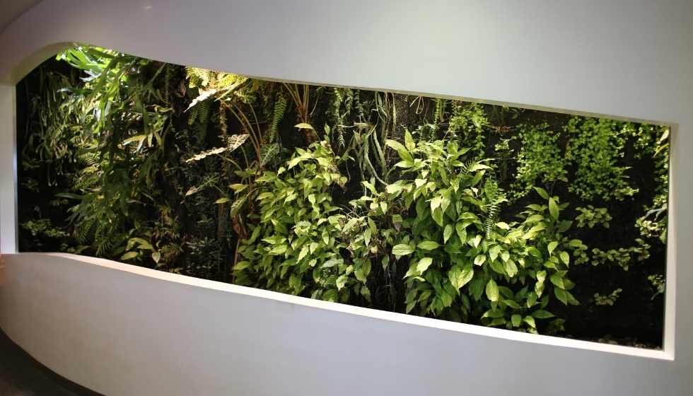 Paredes con plantas